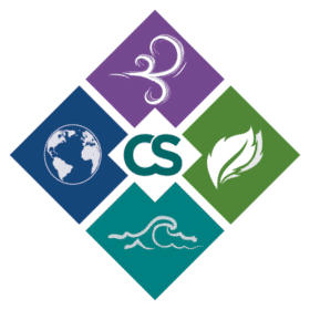 Logo de Chemical Safety
