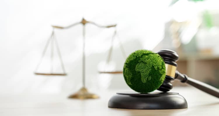 Green law concept. international environmental law Climate or en